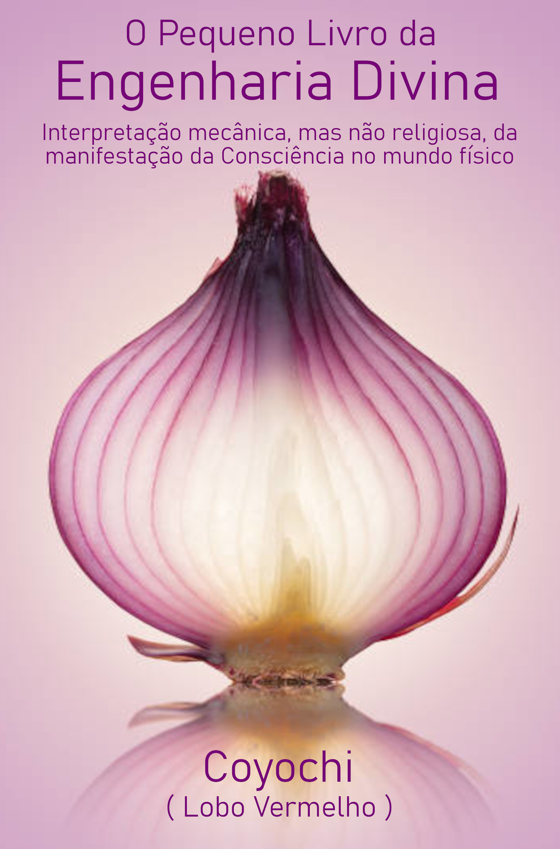 O Pequeno Livro da Engenharia Divina